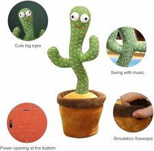 Dancing Cactus Toy